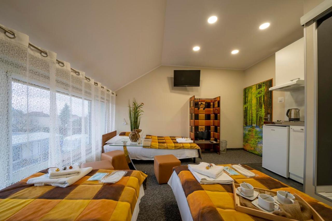 Fortisline Pokoje Z Klimatyzcja Sauna Apartment ออปอเล ภายนอก รูปภาพ